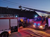 Brzozogaj: pożar w budynku wielorodzinnym. W działaniach udział wzięło 5 zastępów 