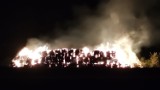 Pożar bel słomy przy ul. Energetyków w Piotrkowie [ZDJĘCIA]