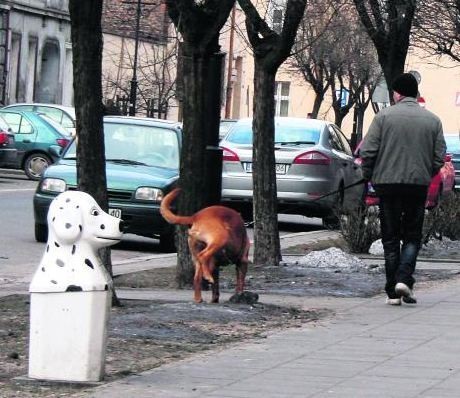 Kiedy strażnicy zauważą, że nie posprzątaliśmy po psie, wlepią mandat w wysokości 500 zł