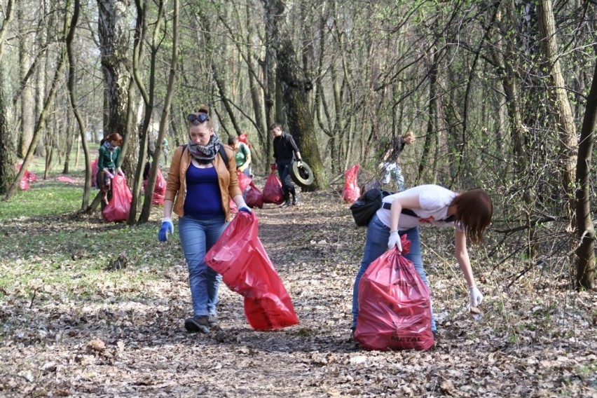 Dąbrowa Górnicza: Stowarzyszenie Czysty Las posprzątało leśne tereny w Parku Zielona