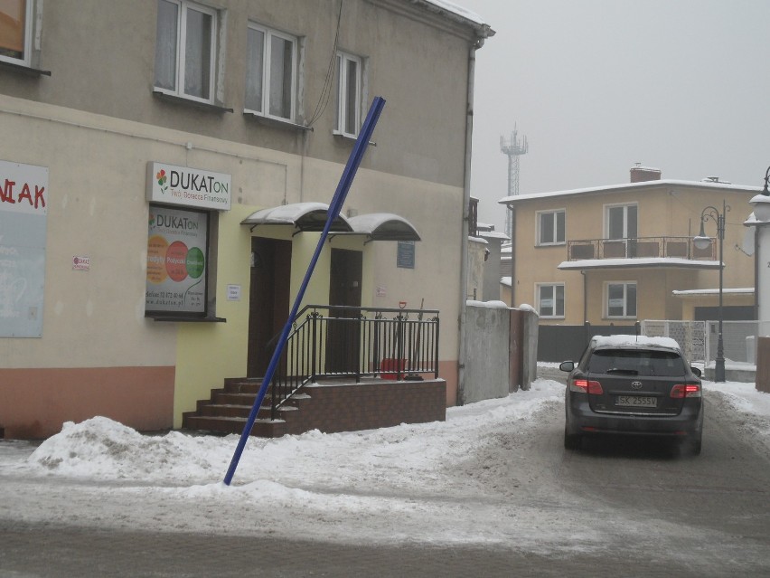 Koszmarki Żory: W mieście nie brakuje przekrzywionych znaków, a nawet drzew! FOTO