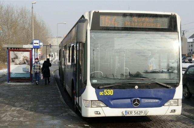 Przed uruchomieniem nowej linii tramwajowej, do Górki Narodowej kursował autobus linii 164