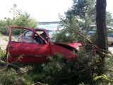 Pijany kierowca: Wjechał w drzewo i próbował uciec