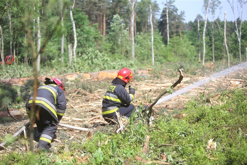 W Mysłowicach ćwiczono działania strażaków na wypadek pożaru...