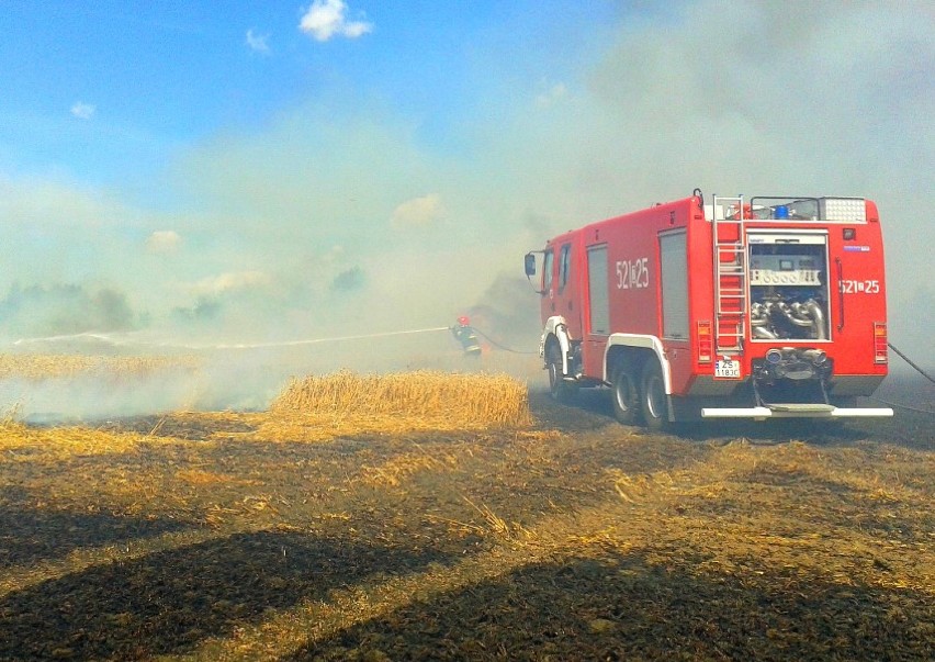 Ogień w Noskowie strawił 5 hektarów pszenicy