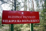 Łączą siły do wspólnej walki o szlaki Rurzycy