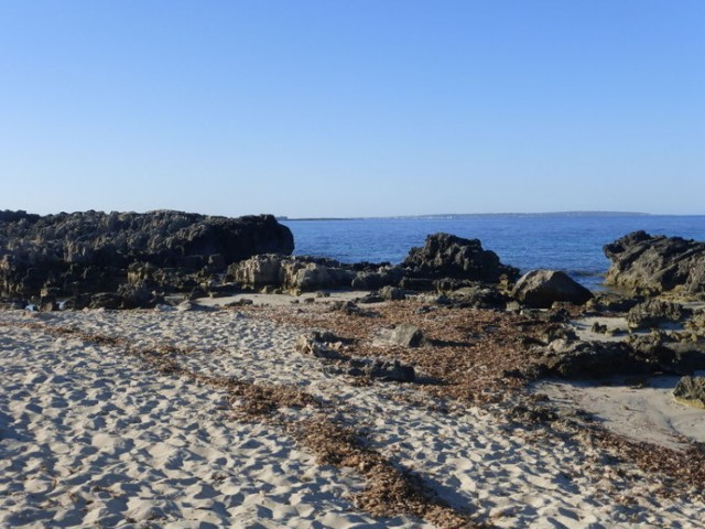 Piękna plaża skalista ciągnie się kilka kilometr&oacute;w od  plaży Ses Salinas (zachodnia część wyspy -Torre de Portes) w kierunku p&oacute;łnocnym wyspy.
 Fot.Isabella Degen