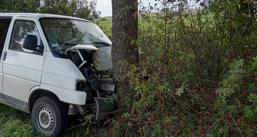 Miłoradz. Wypadek na drodze powiatowej. Kierowca busa wjechał w drzewo, strażacy musieli go uwalniać z pojazdu