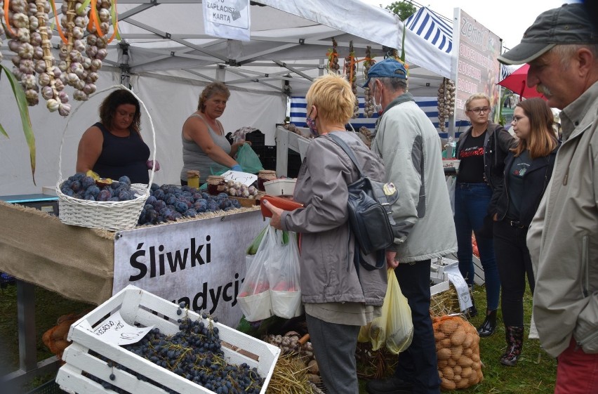 Święto Śliwki w Strzelcach Dolnych potrwa do niedzieli