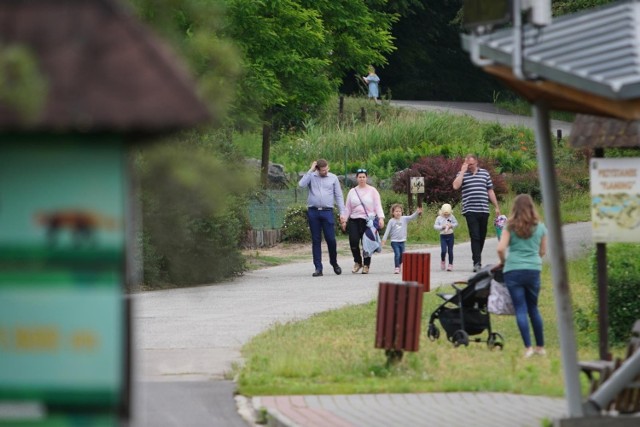 W poznańskim Nowym Zoo doszło do incydentu. Dwulatek, chorujący na SMA (rdzeniowy zanik mięśni) typu 1, nie został wpuszczony na teren placówki. Powód? Chłopiec korzysta z chodzika. Sprawę opisała w mediach społecznościowych matka dwulatka. Teraz reaguje dyrekcja placówki.