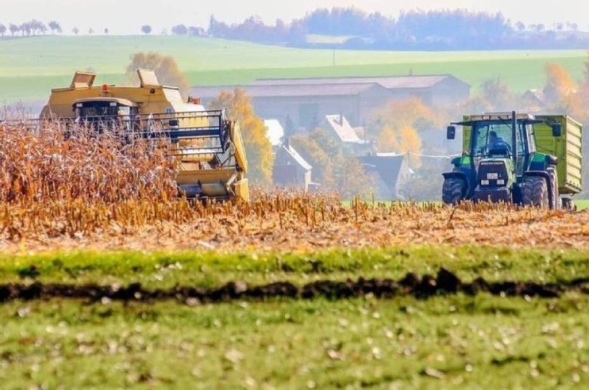 Okres przyjmowania wniosków w ramach „Modernizacji gospodarstw rolnych” z budżetu PROW 2014-2020 został wydłużony do 20 września 2021 r.