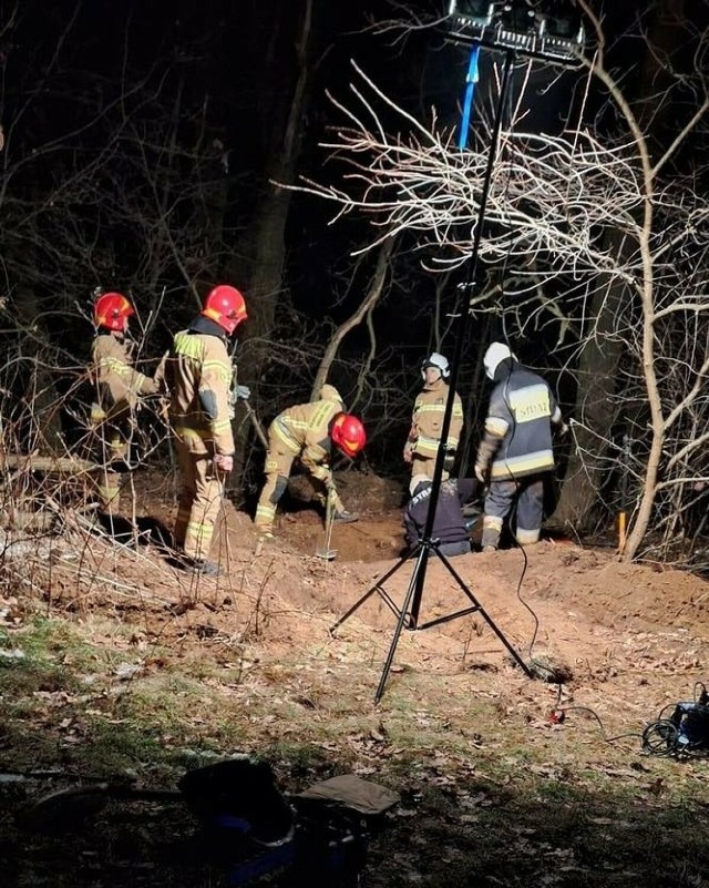 Strażacy ratowali psa, który utknął w lisiej norze