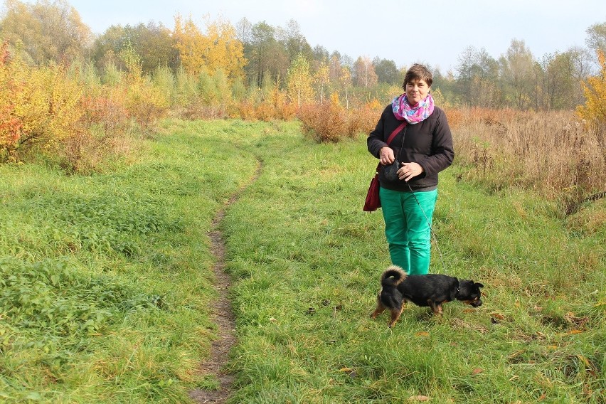 Teresa Głąb spaceruje z psem po terenie, gdzie gmina Chełmek...