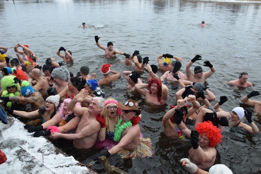 Już w ten weekend zlot morsów w Augustowie. Zobacz jak wyglądał on w tamtym roku (zdjęcia)