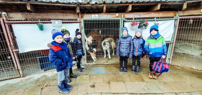 Dzieci z Akadamii Piłki Nożnej pomagały psom i kotom z azylu dla zwierząt