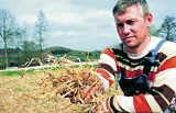 Klęska na polach: Czy apel rolników pomoże?