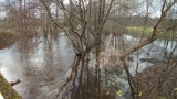 Rzeka Reda wylała na łąki przy szpitalu w Wejherowie. Woda tuż przy zabudowaniach  [ZDJĘCIA, VIDEO]