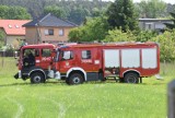 Wójt gminy Świdnica: jest zwycięstwo w bitwie o wozy! Tu odnotowano najwyższą frekwencję wśród gmin dawnego województwa zielonogórskiego