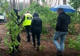 Śmierć mężczyzny w lesie pod Mieściskiem. Sprawę bada prokuratura i policja