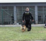 Policjant i jego pies uratowali niedoszłego samobójcę z Morąga