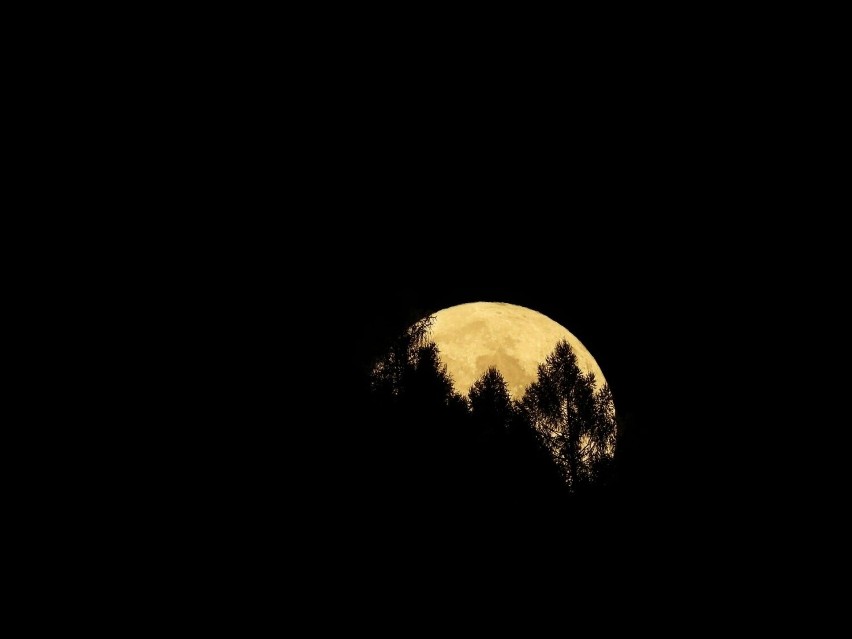 Zachwycający Księżyc tuż przed pełnią. Takie zdjęcia nocą można zrobić w Muszynie