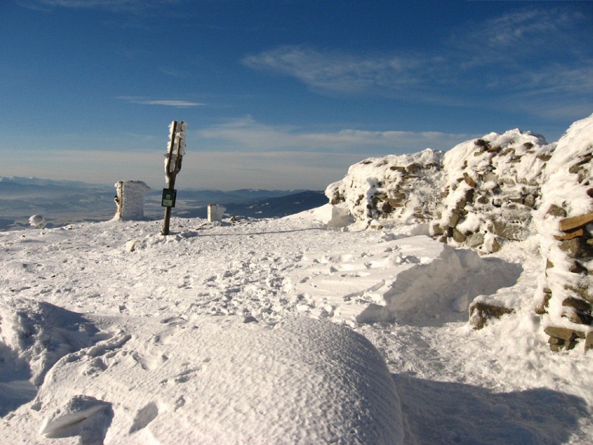 Śnieg w Beskidach. Na Babiej Górze jest już pół metra białego puchu! [ZDJĘCIA]