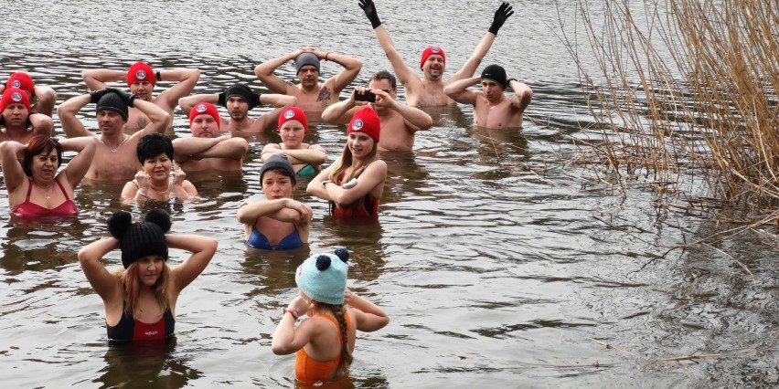 Morsowali na Piaskach. Do sympatyków zimnych kąpieli w Ostrowie Wielkopolskim wciąż dołączają nowe foczki i morsy!