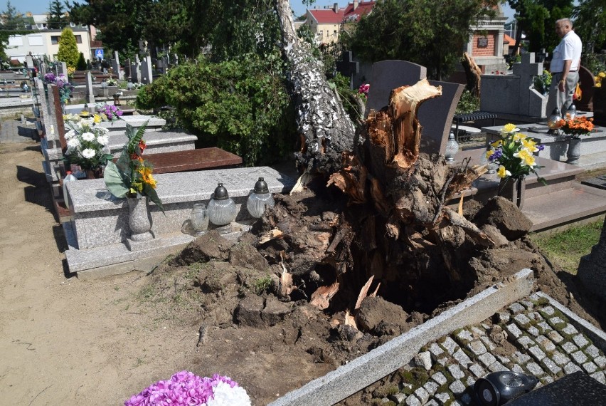 Zniszczone groby na cmentarzu na Witkowskiej. Nawałnica połamała drzewa [FOTO]