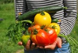Przedszkolaki z Opolszczyzny mają szansę na własne ogródki warzywne. Można im pomóc