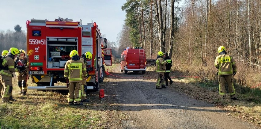 Strażacy i policjanci sprawdzili się w lesie koło Czarnożył FOTO