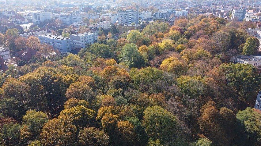 Park Tysiąclecia w Zielonej Górze jesienią mieni się feerią...