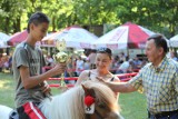 Parcice: Hodowcy pochwalili się końmi