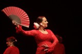 Legnica: Pokaz tańca flamenco sekcji działającej przy Legnickim Centrum Kultury, zdjęcia i video