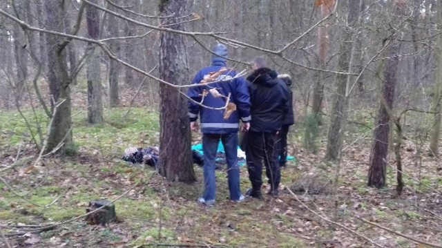 Policja wciąż próbuje ustalić tożsamość mężczyzny, którego ciało znaleziono w lesie w rejonie ulicy Fordońskiej.