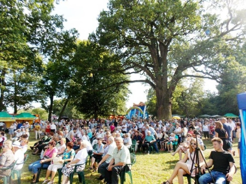 To będzie wielki rodzinny piknik pod dębem Bolko w Hniszowie. Zobacz program