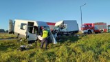 Czołowe zderzenie busów w Świdniku. Nie żyje jeden z pasażerów. Wiele rannych osób