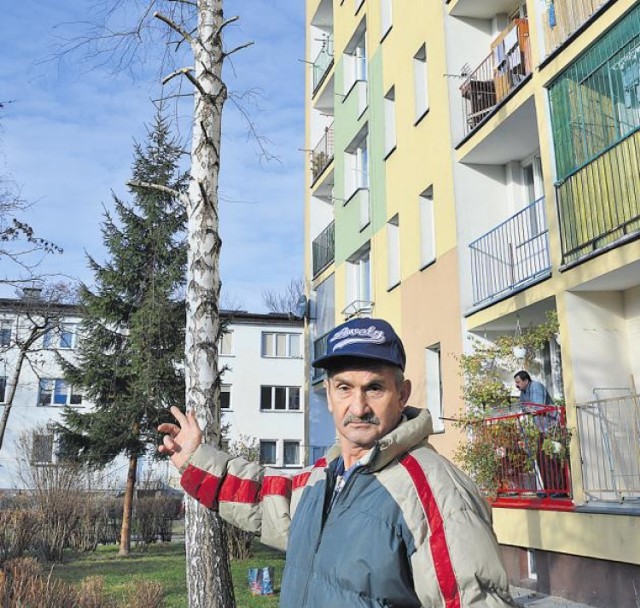 Bogumił Studencki nie może się pogodzić z takim traktowaniem drzew. - Brzoza daje ludziom siłę, ale piły ją pokonały - ubolewa