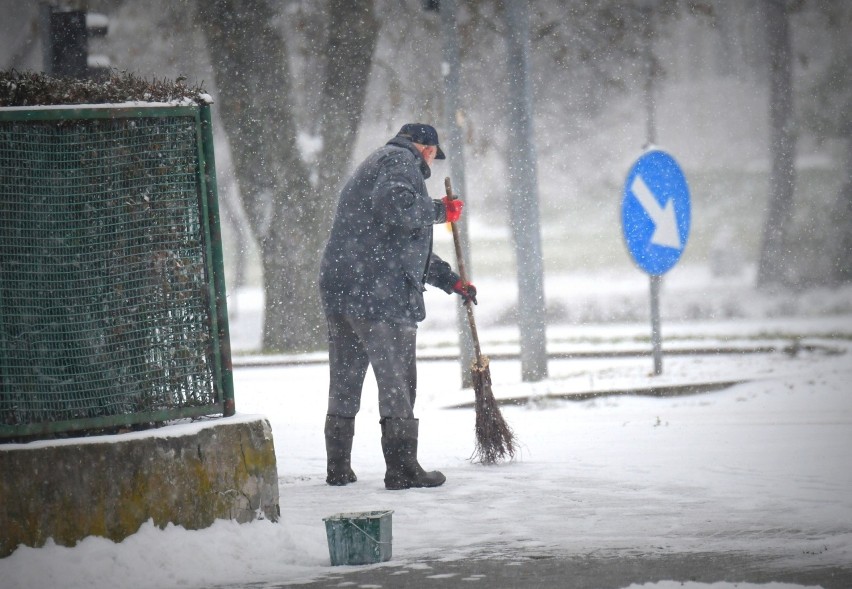 Pierwszy śnieg w Żarach! Przez dwie godziny napadało sporo białego puchu. Zobaczcie sami!