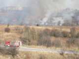 Lublin: Pożar traw na górkach czechowskich ZDJĘCIA