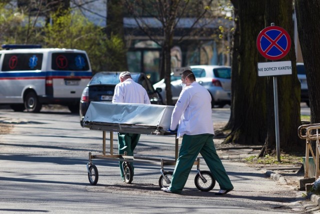 W ostatnim tygodniu października najwyższą śmiertelność w Polsce odnotowano w Małopolsce oraz na Podkarpaciu.