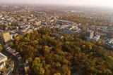 Lublin. Ogród, park i las pod ochroną miasta. Kolejne tereny zielone uwzględnione w miejscowych planach zagospodarowania przestrzennego