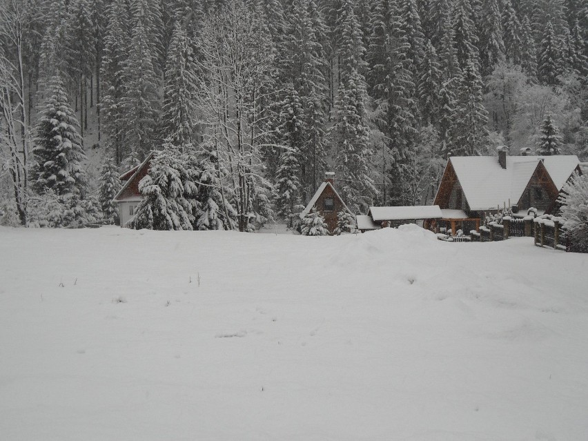 Zima wróciła w Beskidy. Zdjęcia z zaśnieżonej Rycerki Górnej...