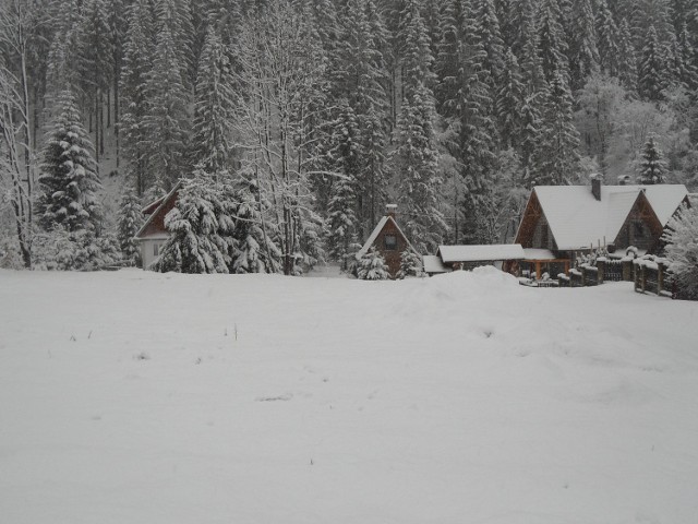 Zima wróciła w Beskidy. Zdjęcia z zaśnieżonej Rycerki Górnej - Kolonii.