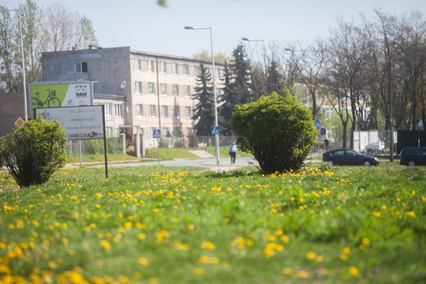 Strażnicy miejscy pilnują porządku w Łodzi