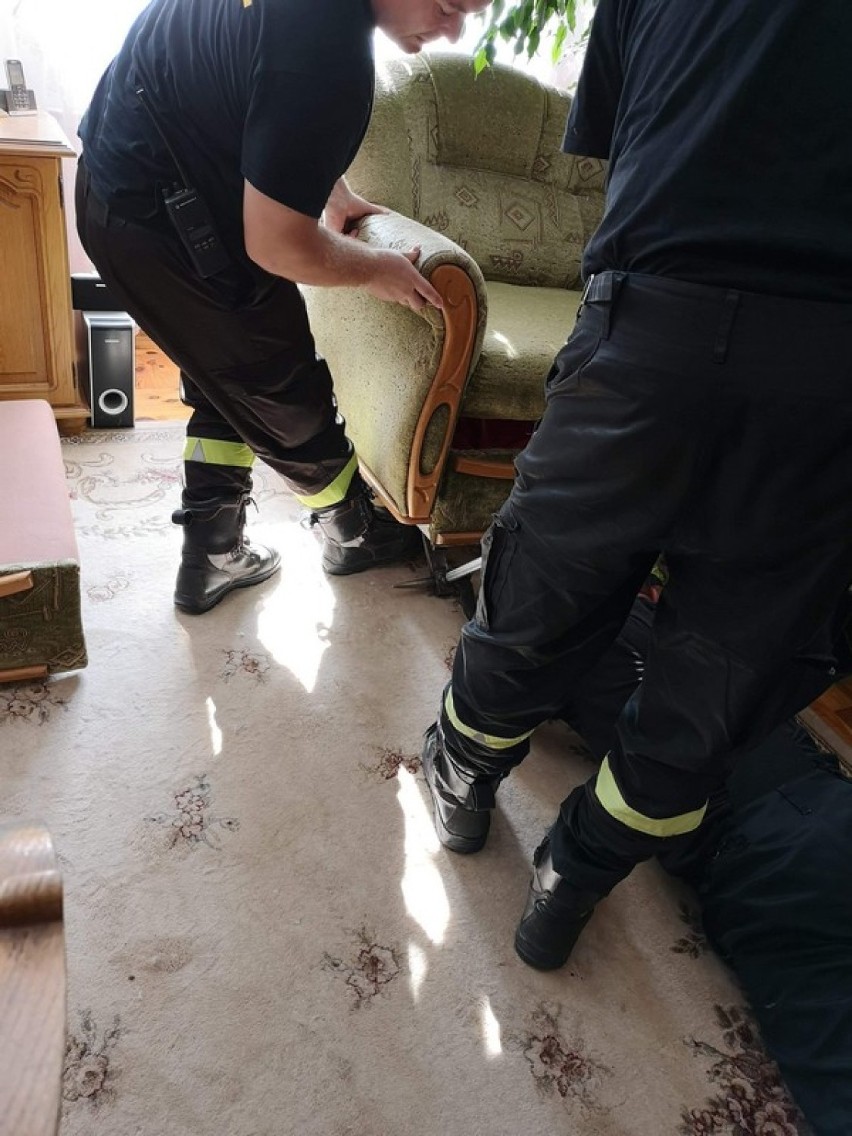 Wąż pod łóżkiem mieszkanki Ciechocinka. Interweniowała policja i straż pożarna [zdjęcia]