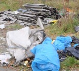 Straż miejska miesięcznie odbiera nawet 60 zgłoszeń o dzikich wysypiskach śmieci
