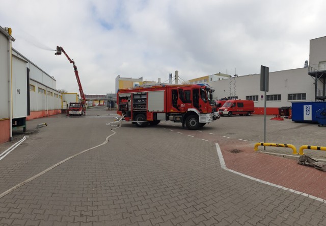 Nestle w Kaliszu. Na terenie zakładu strażacy przeprowadzili akcję gaszenia hal