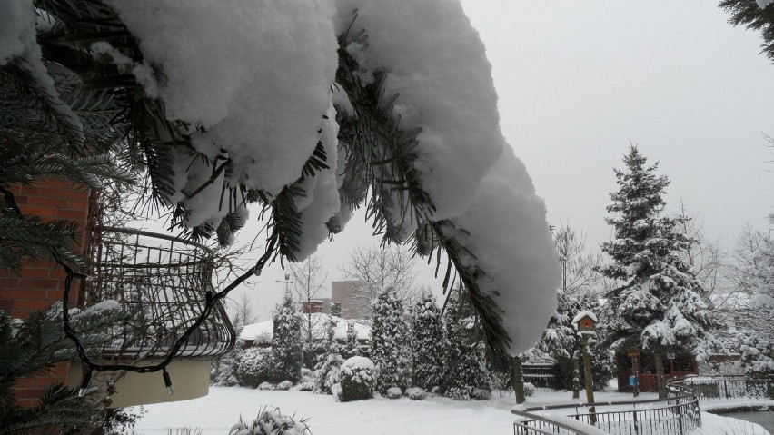 Zima 2015 w Tychach
