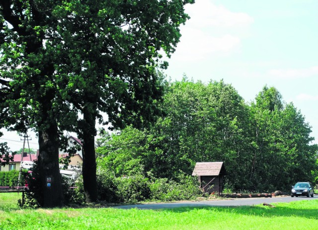 Pierwsze drzewa na trasie z Paproci do Borui Kościelnej zostały już wycięte
