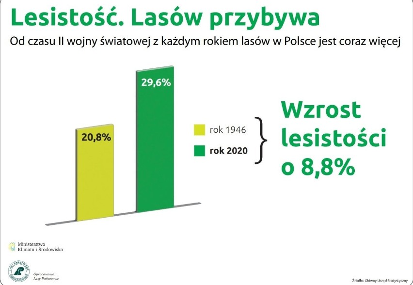 Lasy Państwowe posadzą nowe lasy. Ruszyła akcja skupu...